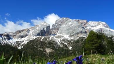 Walks in the Italian Dolomites