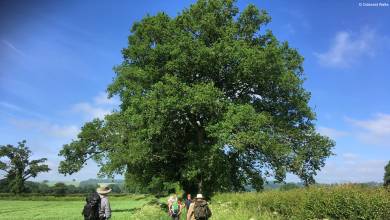 Best of the Cotswolds Self-Guided Walk
