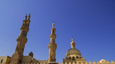 Ancient Egypt & Nile Cruise – Premium Adventure