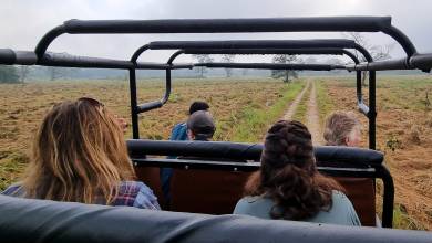 Highlights of Northern India & Nepal