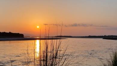 Chitwan Safari Add-on Tour