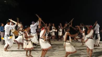 Chitwan Safari Add-on Tour