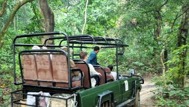 Chitwan Safari Add-on Tour