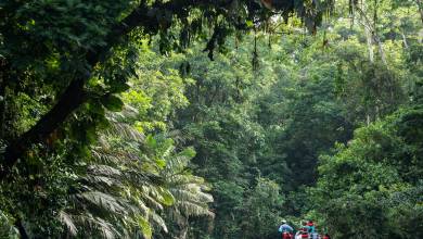 Boat tour Tortuguero canals