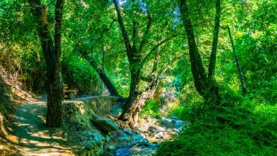 clarios_creek_-_kakopetria