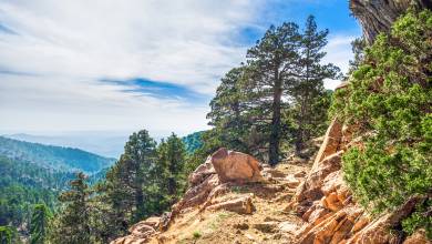 mountain_trail_-_troodos