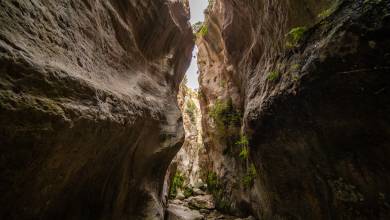 avakas_gorge_shutterstock_1677045667