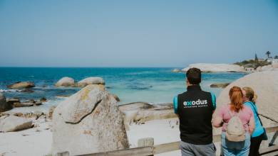 Cape Town and the Garden Route – Premium Adventure