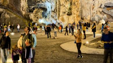 Best of the Garden Route – Premium Adventure