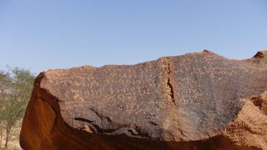 Saudi Arabia Explorer