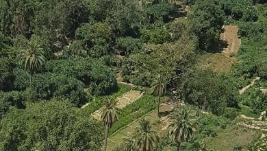 Saudi Arabia Explorer