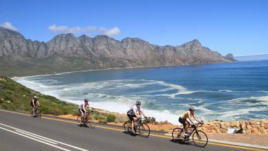 Cycling the Cape & Winelands