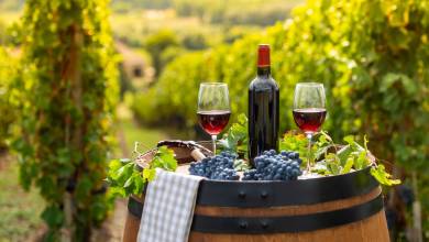 Loire Valley: Walks, Wine & Chateaux