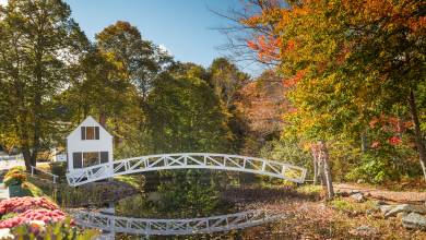 Cycling Maine’s Coast & National Park