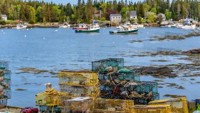 Cycling Maine’s Coast & National Park