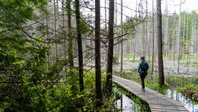Walking Canada’s Sunshine Coast
