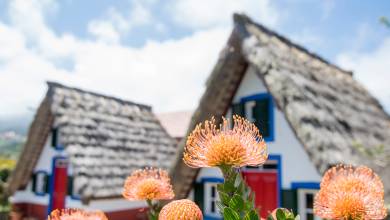 Walking the Island of Madeira