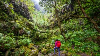 Walking the Island of Madeira