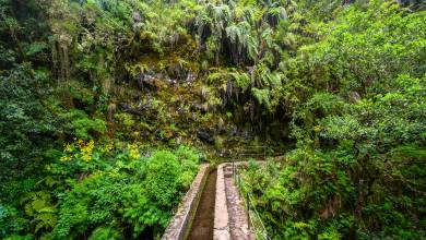 Walking the Island of Madeira