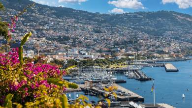 Walking the Island of Madeira