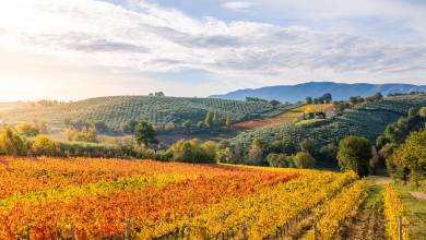 Walking in Rome, Assisi and Umbria – Premium Adventure