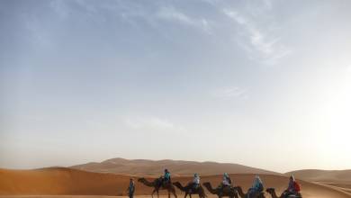 Treasures of Morocco – Premium Adventure