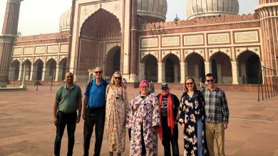 India’s North & South – Premium Adventure