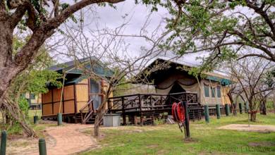 Southern Africa Safari: Kruger & Coast