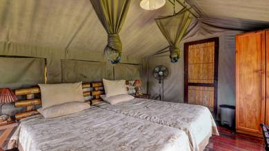 Southern Africa Safari: Kruger & Coast