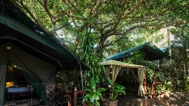 Southern Africa Safari: Kruger & Coast