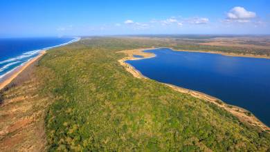 Southern Africa Safari: Kruger & Coast