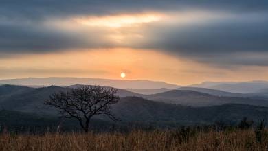 Southern Africa Safari: Kruger & Coast