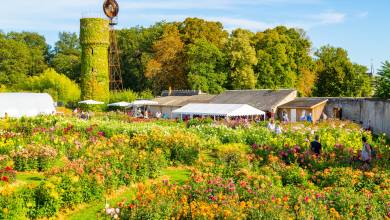 Loire Valley: Walks, Wine & Chateaux