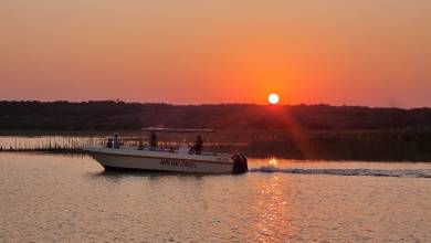 Southern Africa Safari: Kruger & Coast
