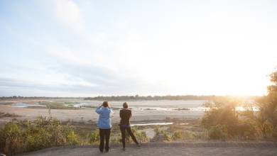 Southern Africa Safari: Kruger & Coast