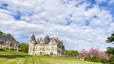 Loire Valley: Walks, Wine & Chateaux