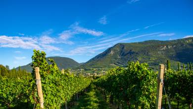 Cycling Lake Garda by e-bike