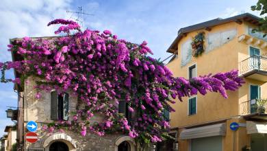 Cycling Lake Garda by e-bike