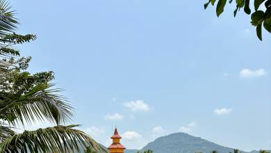 Sri Lanka: Wonders & Wildlife – Premium Adventure