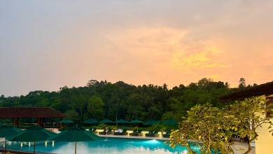 Sri Lanka: Wonders & Wildlife – Premium Adventure