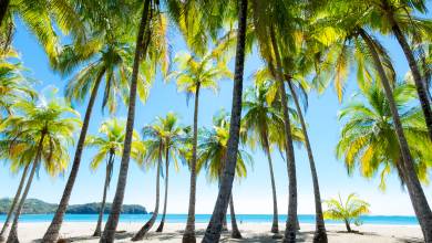 Costa Rica Active Escape