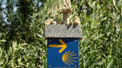 Cycle the Coastal Portuguese Camino
