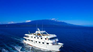 Galapagos Escape – Solaris (Itinerary C)