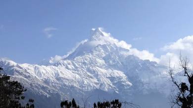 Annapurna to Chitwan: Walks & Wildlife