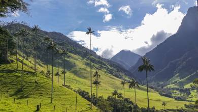 Colombia: Culture, Coffee & Caribbean