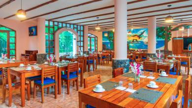 Island Hopping in the Galapagos