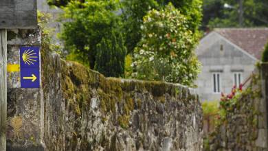 Cycle the Coastal Portuguese Camino
