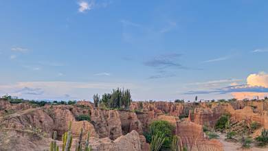 Colombia: Culture, Coffee & Caribbean