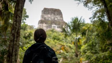 Belize Reef & Ruins