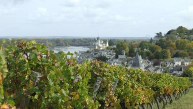 Cycle the Loire Valley